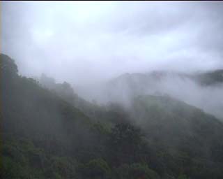 Blue Fog 3