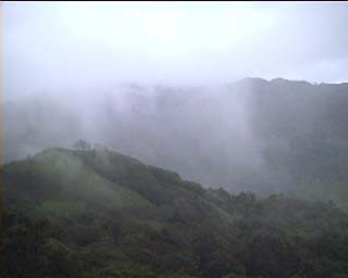 Niebla a Zur 2